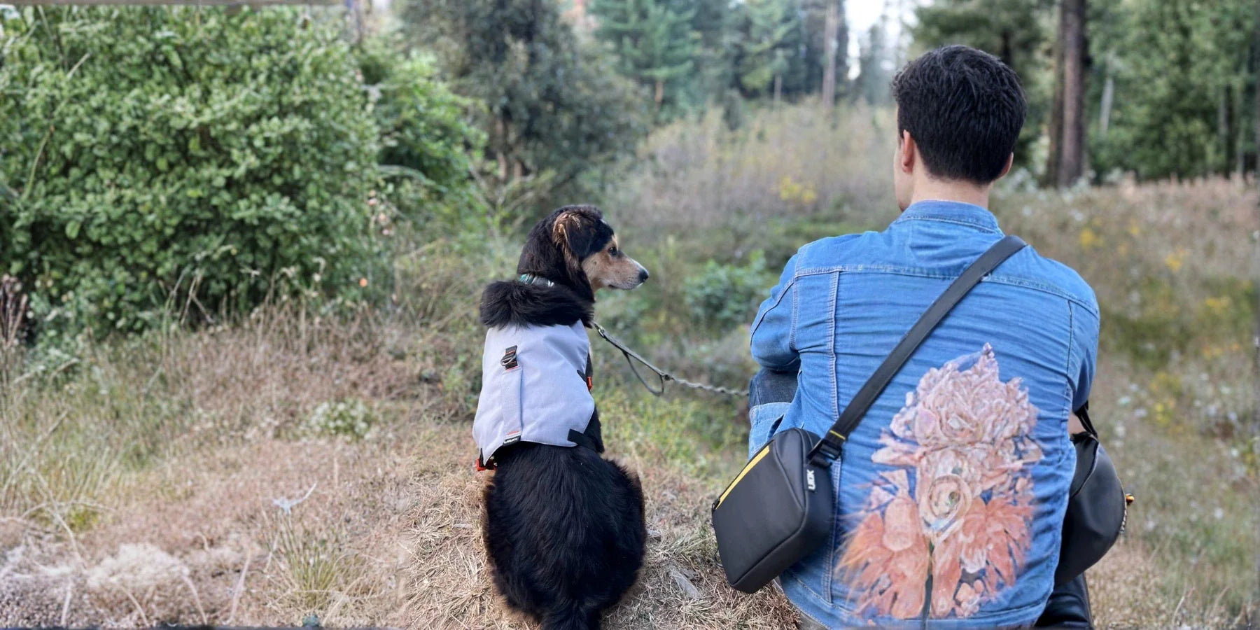 Premium Dog Gear for Your Canine Partner by Uluk Outdoors 