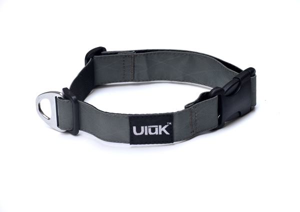 Pahardy Dog Collar Medium