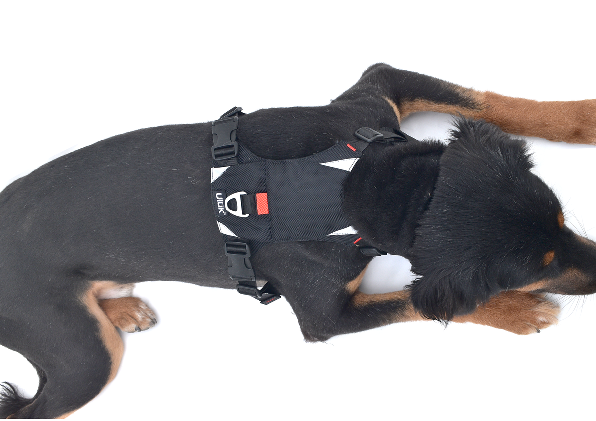Pahardy X1 Canine Harness