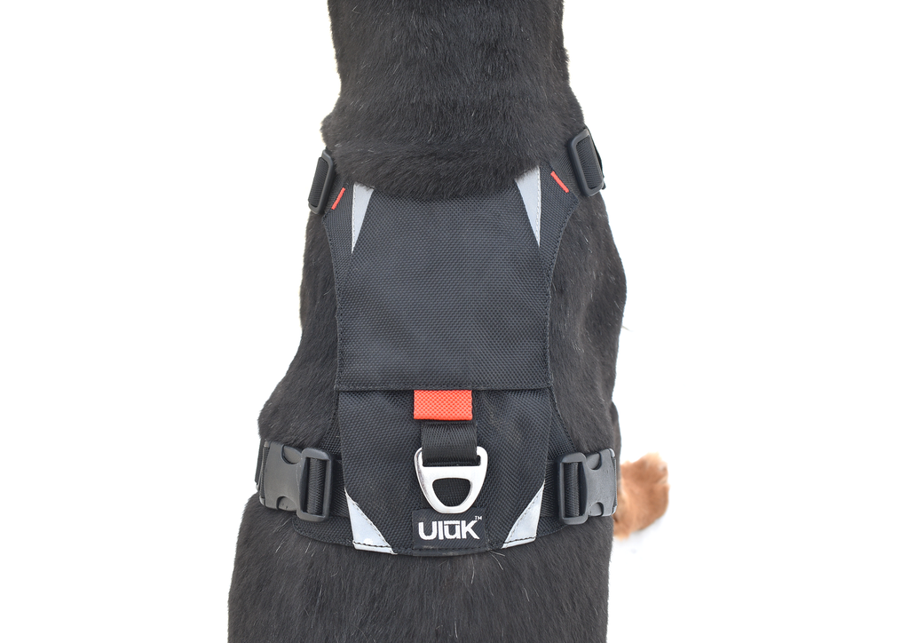 Pahardy X1 Canine Harness