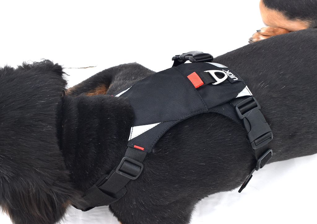 Pahardy X1 Canine Harness